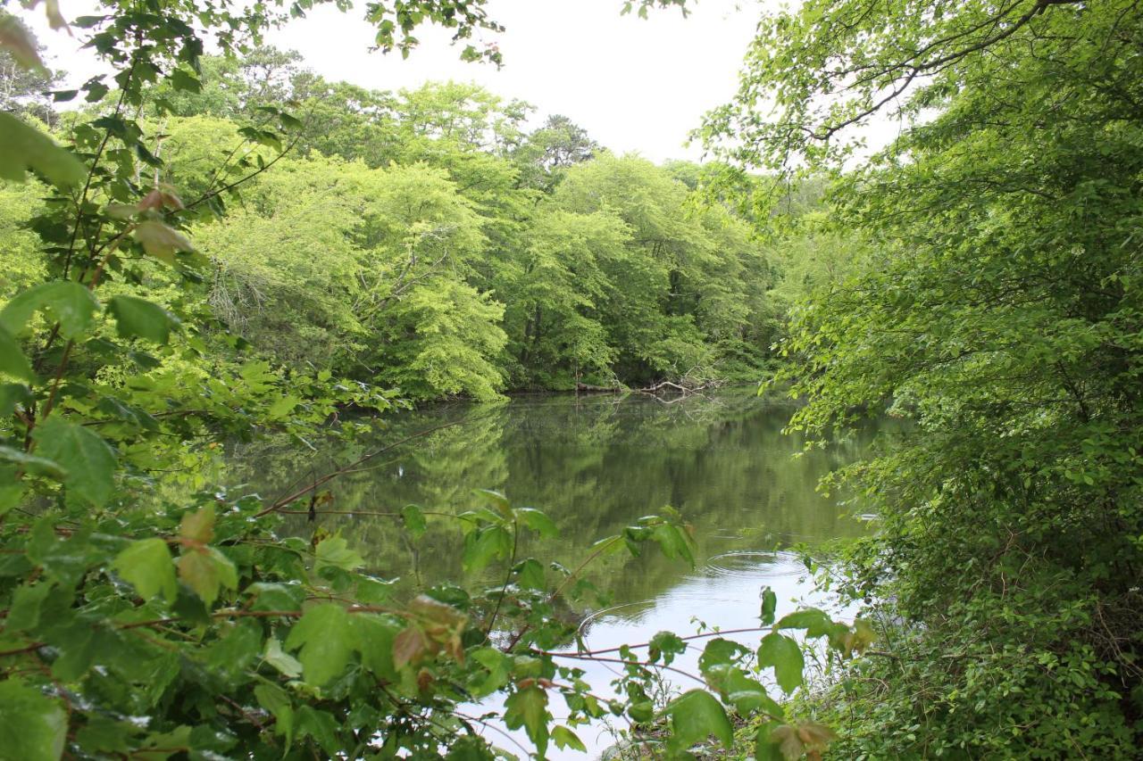 Herring Run Bourne Eksteriør billede