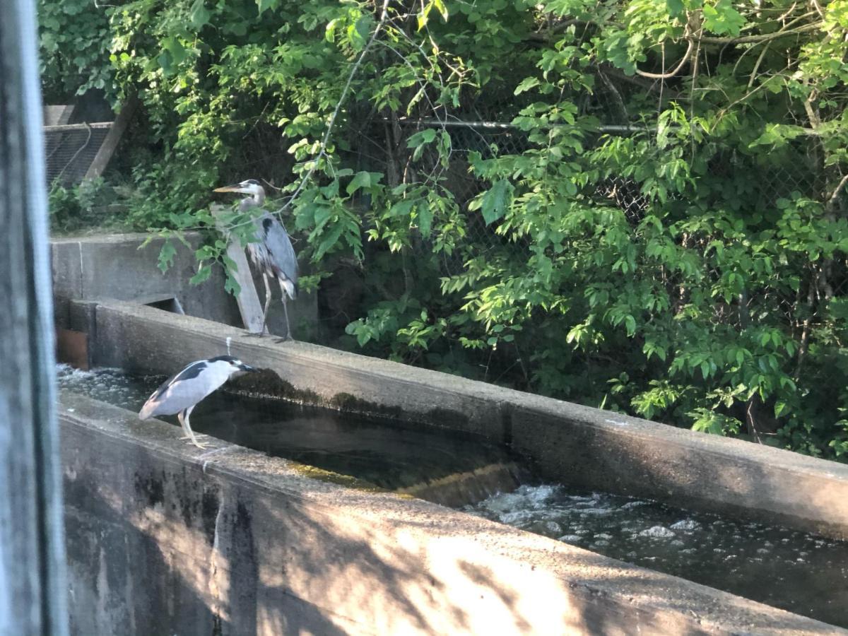 Herring Run Bourne Eksteriør billede