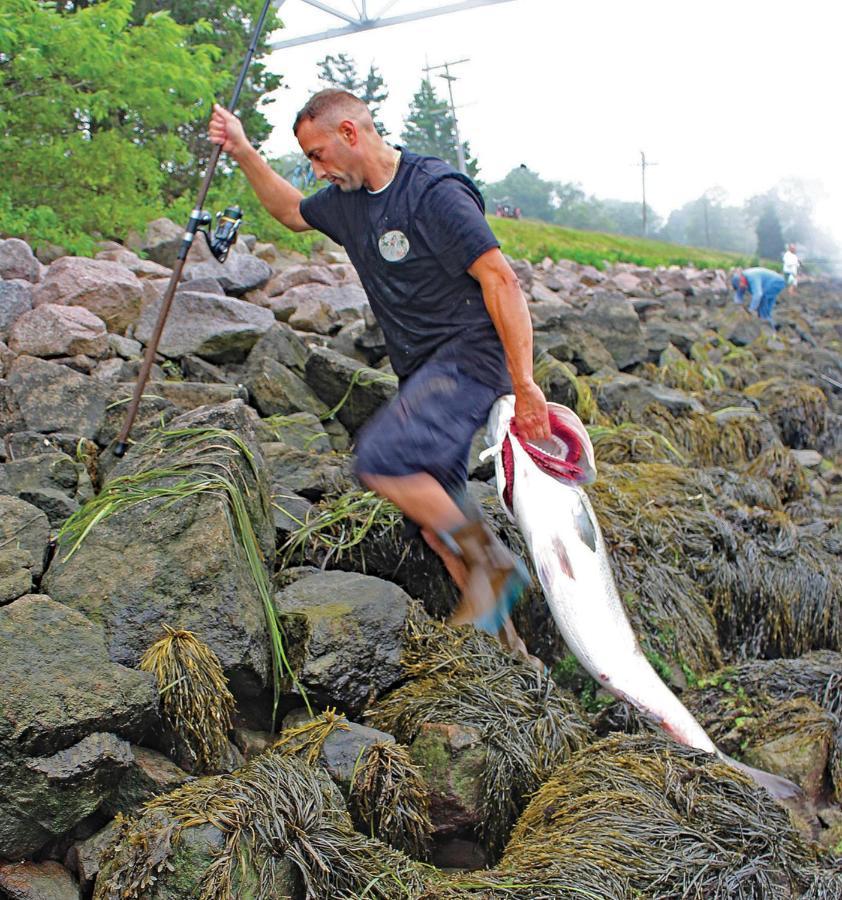Herring Run Bourne Eksteriør billede